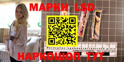 ECSTASY Новозыбков