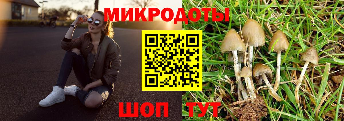 Советский  хочу наркоту  Вход с VPN  Галлюциногенные грибы MAGIC MUSHROOMS 